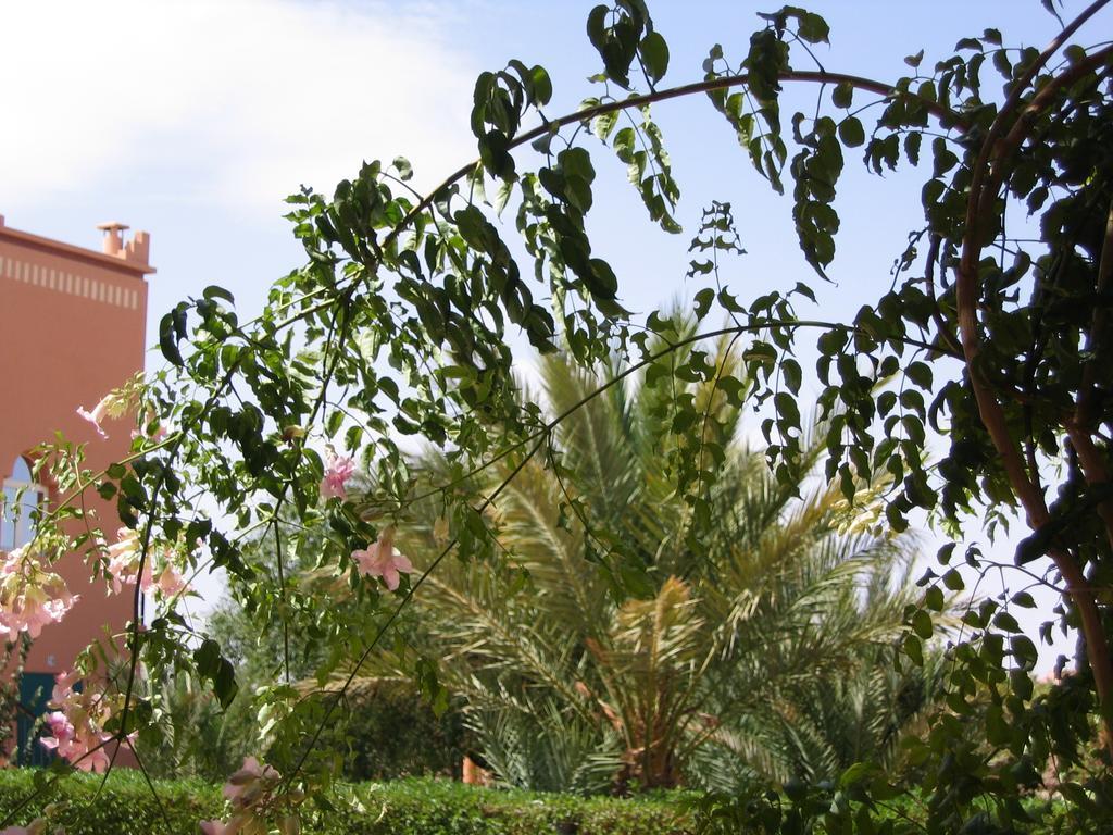 Les Tourmalines Bed & Breakfast Afeggou Exterior foto
