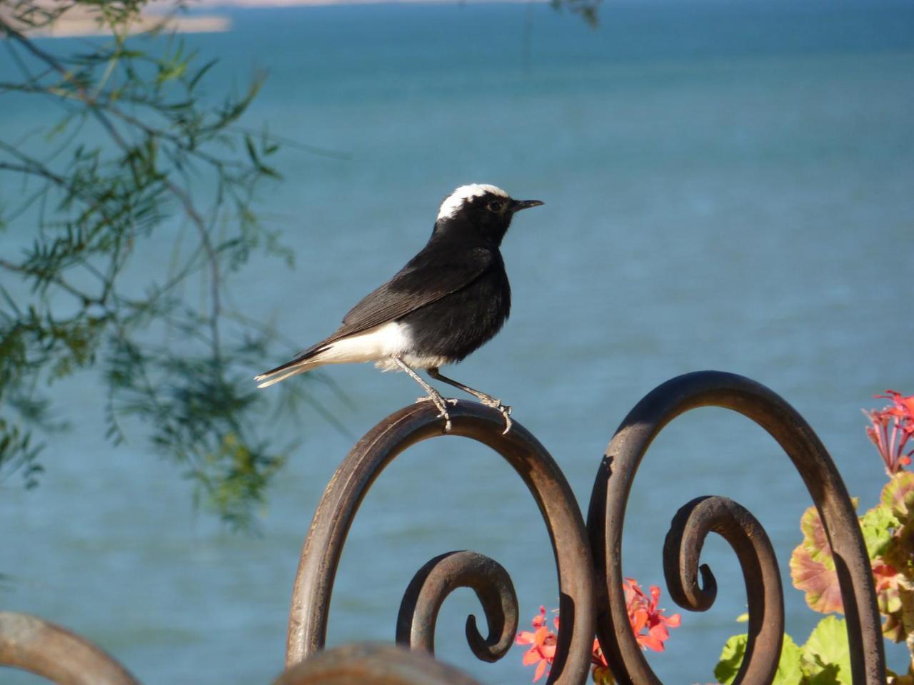 Les Tourmalines Bed & Breakfast Afeggou Exterior foto